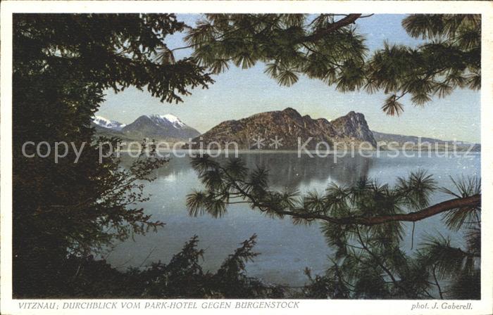 Foto Gaberell J. Nr. 6482 Vitznau Bürgenstock