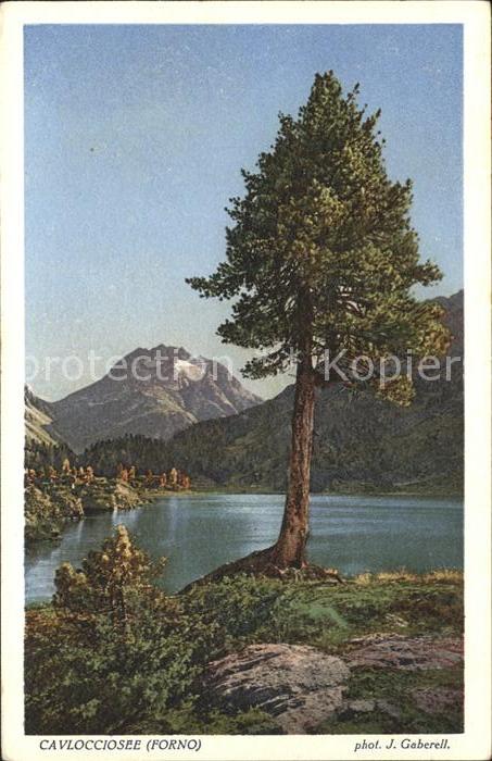 Foto Gaberell J. Nr. 5035 Cavlocciosee Forno