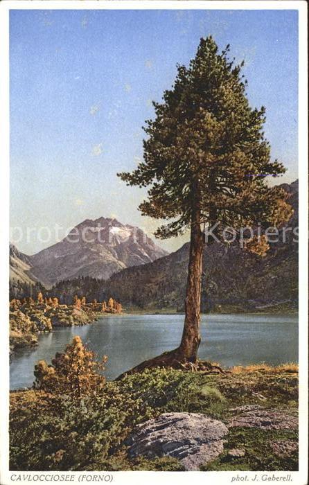 Foto Gaberell J. Nr. 5035 Cavlocciosee Forno