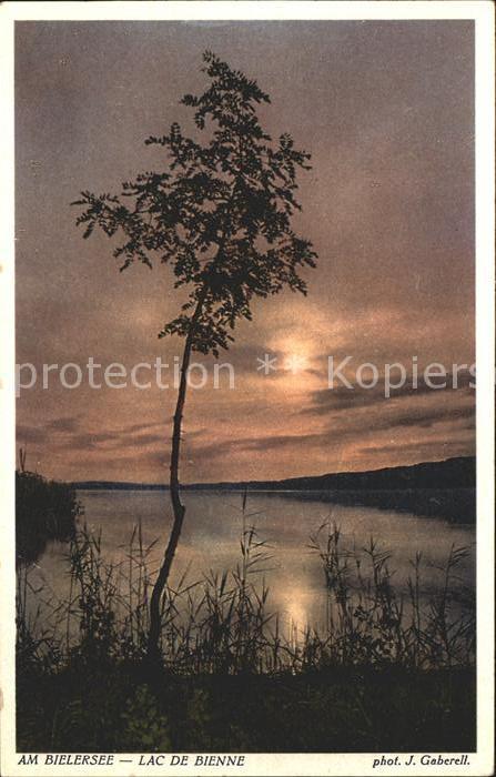 Foto Gaberell J. Nr. 9935 Bielersee Lac de Bienne