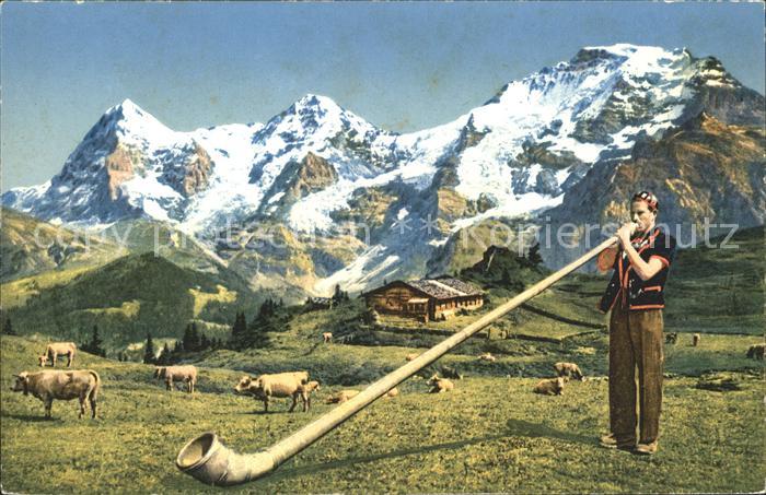 Alphorn Alphornblaeser Berge Kuehe