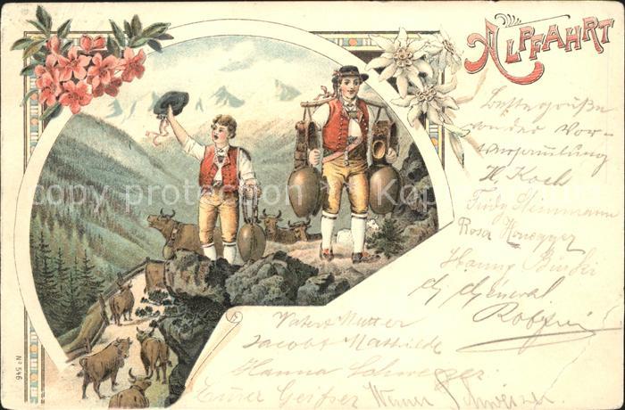 Kuehe Kuhglocken Alpfahrt Edelweiss Alpenrosen Trachten Litho