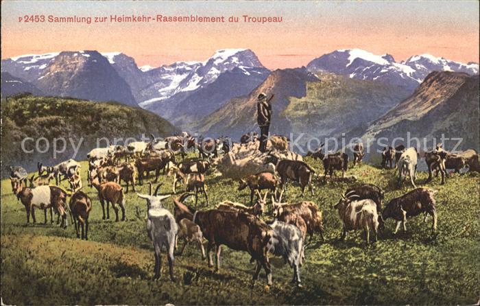 Ziege Hirte Sammlung zur Heimkehr