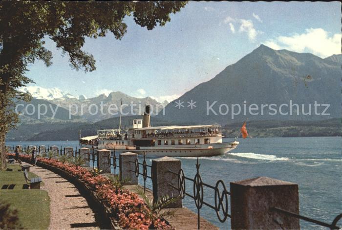 Dampfer Seitenrad Schlosspark Oberhofen Thunersee Bluemlisalp Niesen