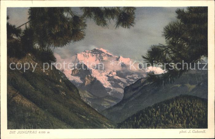 Foto Gaberell J. Nr. 4358 Jungfrau