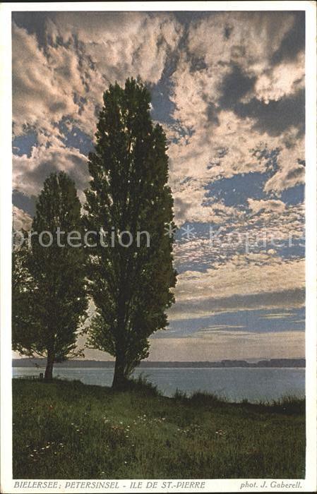 Foto Gaberell J. Nr. 9945 Bielersee Peterinsel