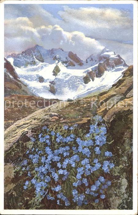 Verlag Photochromie Nr. 1481 Serie 579 Himmelsherold Engadin Berninagruppe