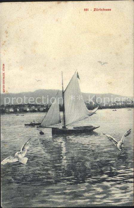 Segelboote Moewen Zuerichsee
