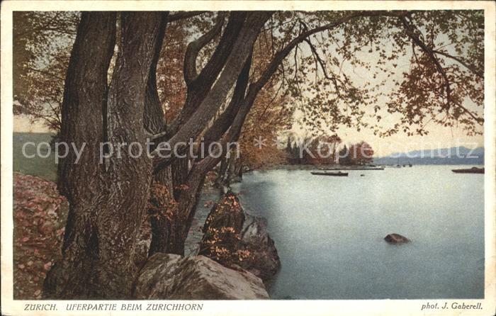 Foto Gaberell J. Nr. 7504 Zürich Uferpartie Zürichhorn