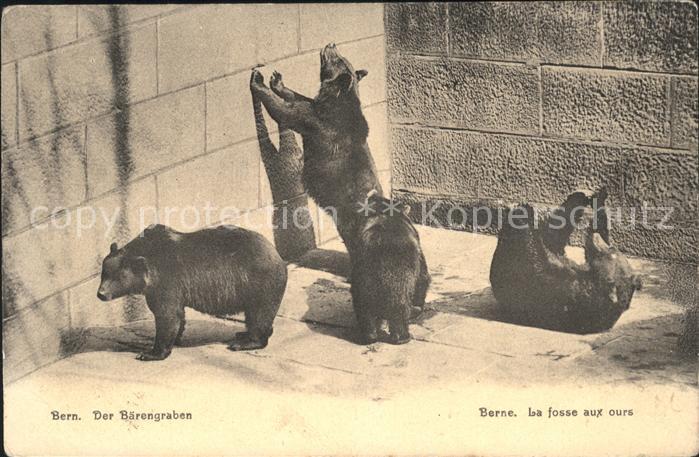 Baeren Bern Baerengraben