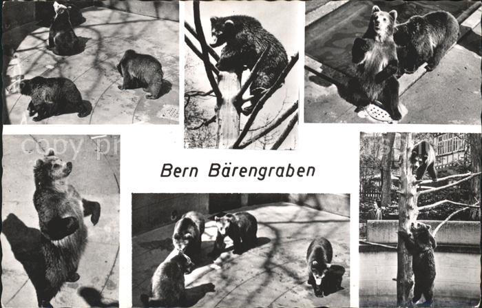 Baeren Bern Baerengraben