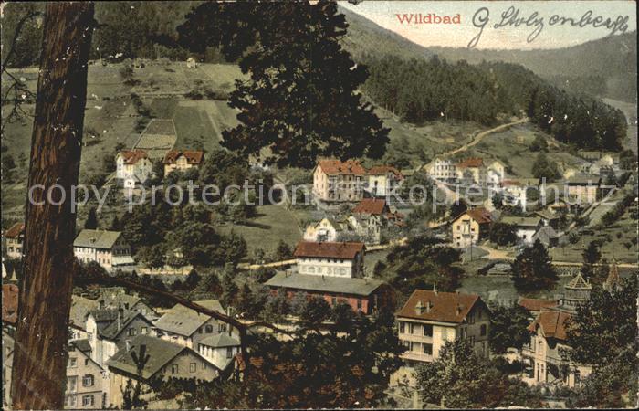 Wildbad Schwarzwald Ortsansicht