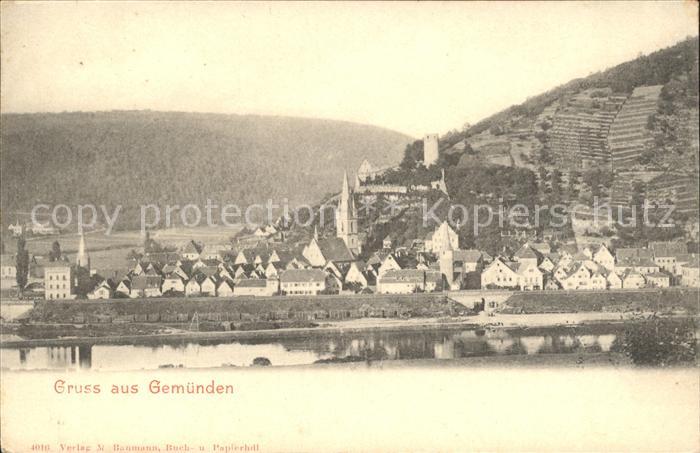 Gemuenden Eifel Panorama