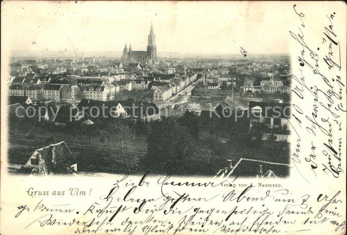 Ulm Donau Panorama mit Muenster