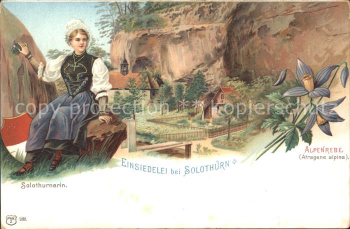 Solothurn Einsiedelei Alpenrebe