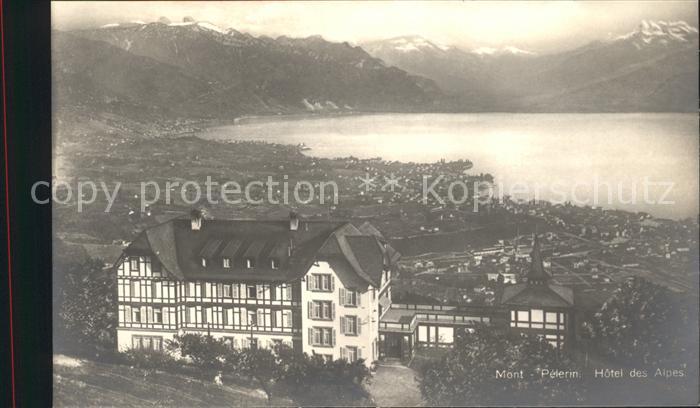 Mont Pelerin Hotel des Alpes