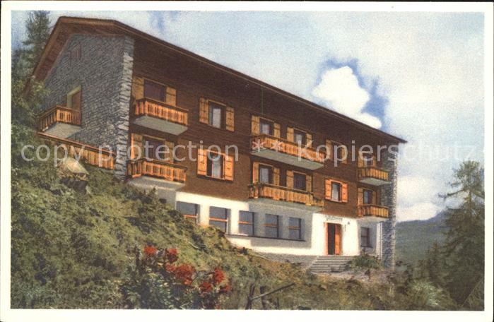 Bettmeralp VS Waldhotel