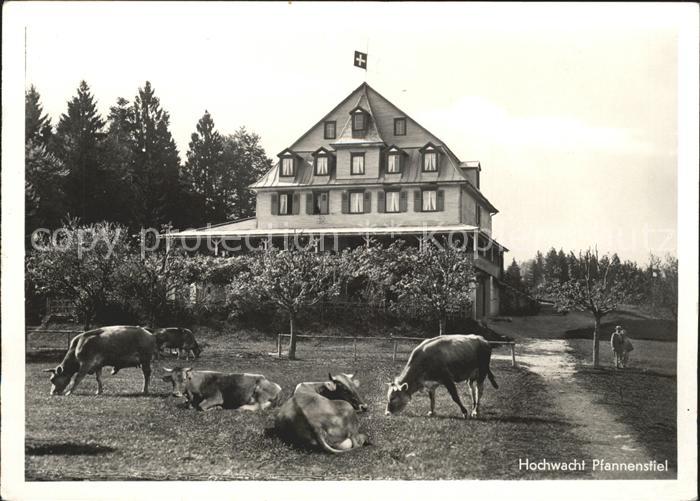 Pfannenstiel Staefa Hotel Hochwacht Kuehe