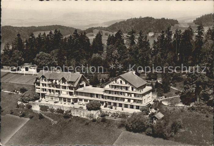 Haltenegg Thun Fliegeraufnahme