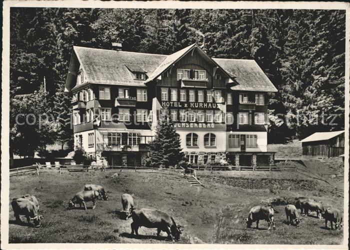 Buchs SG Hotel Kurhaus Buchserberg Kuehe