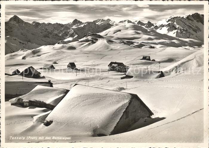 Tannalp Berneralpen Skispuren