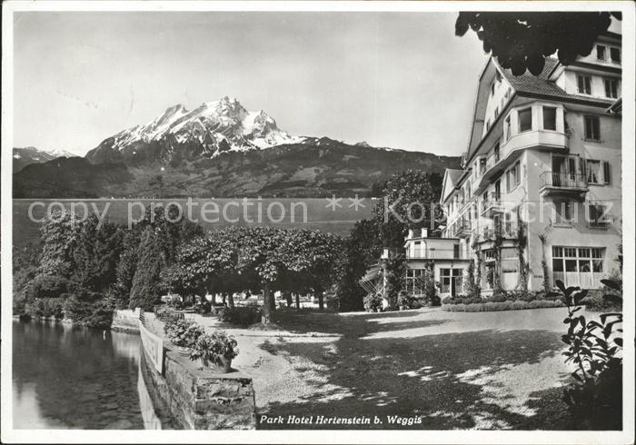 Hertenstein LU Park Hotel Alpen