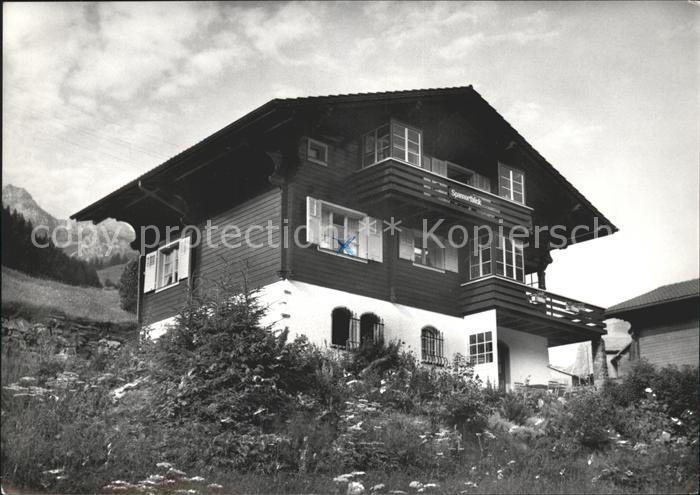 Engelberg OW Chalet Spannortblick