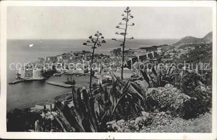 Dubrovnik Ragusa Blick auf die Altstadt Hafen