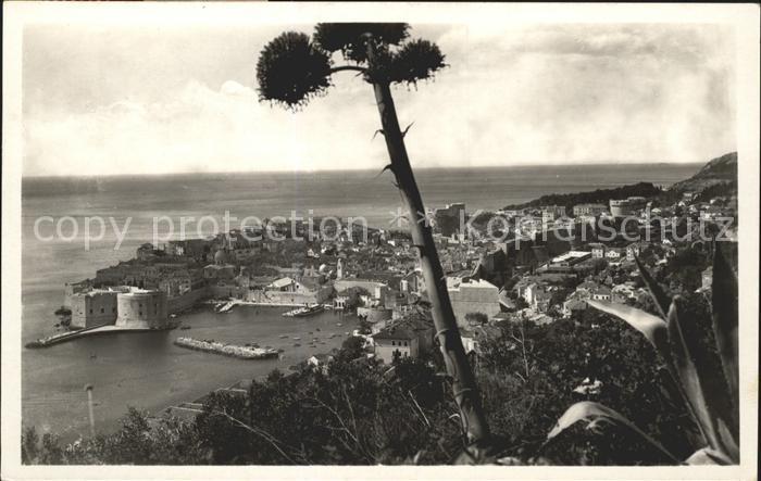 Dubrovnik Ragusa Panorama Festung