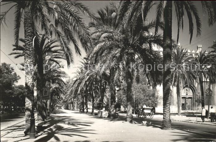 Mallorca Palma de Mallorca Paseo Segrera