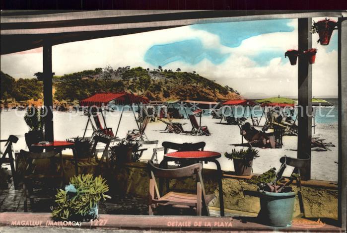Magaluf Magalluf Mallorca La Playa