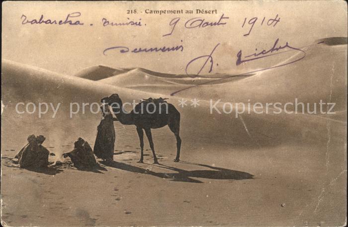 Kamel  Camel Chameau Typen Campement au Desert