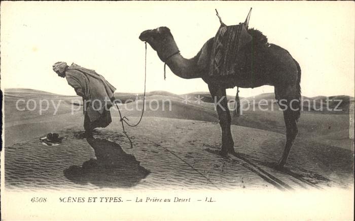 Kamel  Camel Chameau Priere au Desert Scenes et Types
