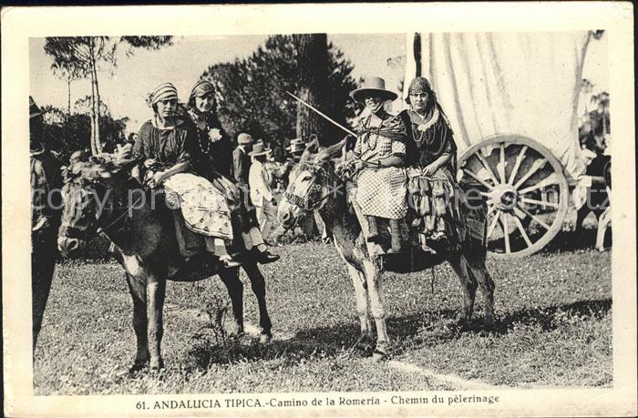 Esel Tiere Andalucia Tipica Camino de la Romeria