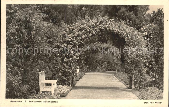 Foto Kellner Rolf Nr. 872 Karlsruhe Stadtgarten Rosengarten