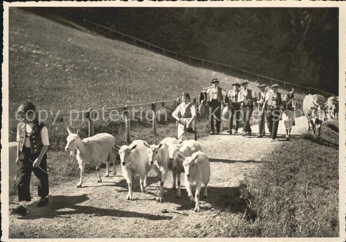 Ziege Kuehe Alp-Aufzug Trychle