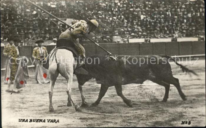 Stierkampf Picador