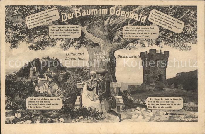 Baeume Trees Der Baum im Odenwald Lindenfels Bismarc
