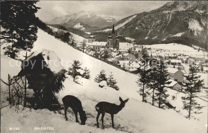 Mariazell Steiermark Rehe Futterhaus