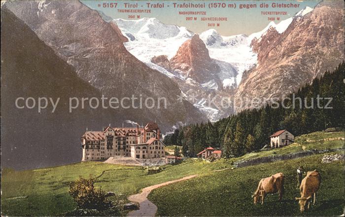 Trafoi Suedtirol Trafoihotel Gletscher Kuehe