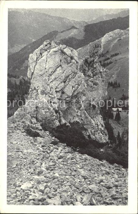 Puchberg Schneeberg Sparbacherhütte Fadensteig