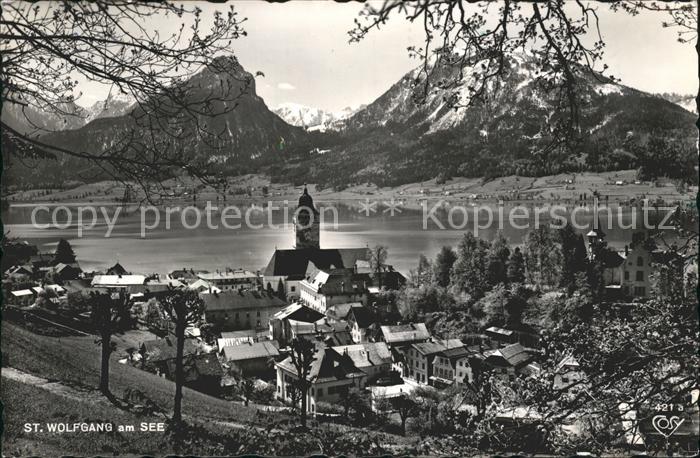 St Wolfgang Wolfgangsee Ortsansicht