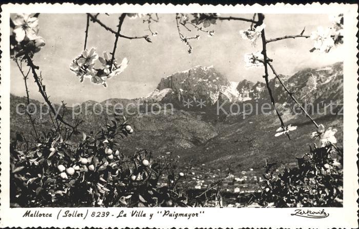 Mallorca La Villa y Puigmayor