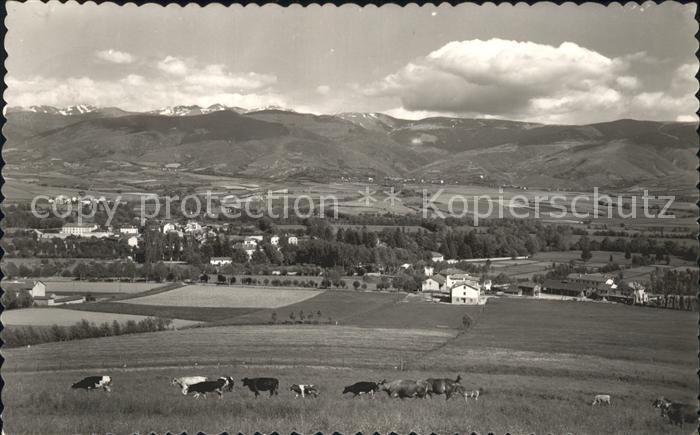 Puigcerda Las dos Cerdenas Prado