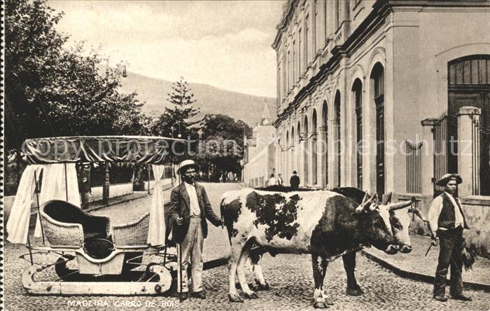 Madeira Portugal Carro de bois