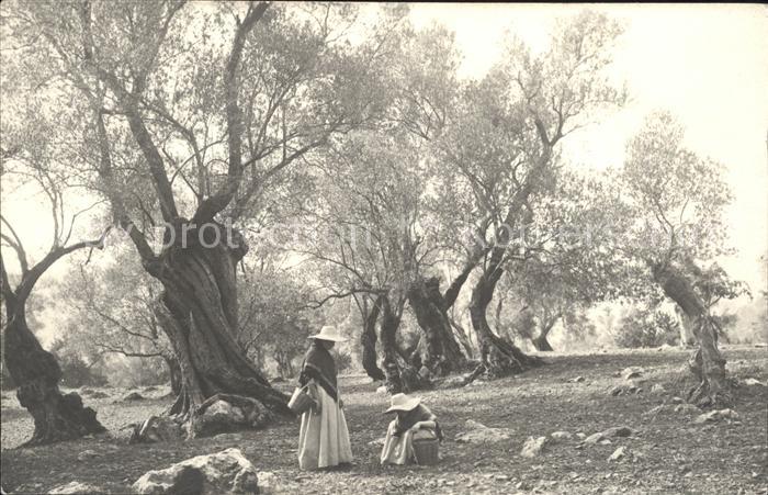 Mallorca Paisaje Vell den March