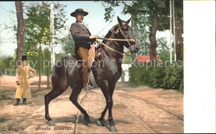 Sevilla Andalucia Ginete andaluz