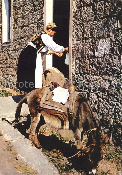 Esel Tiere Tracht Tessin Tessiner Gasse Vicolo caratteristico ticinese