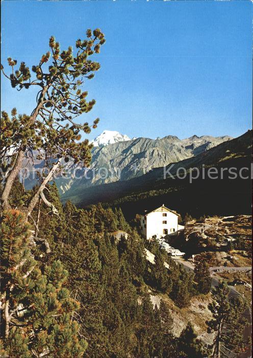 Ortler Suesom Give