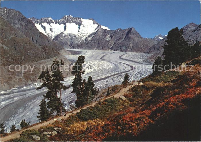 Gletscher Grosser Aletschgletscher Bettmeralp Wan